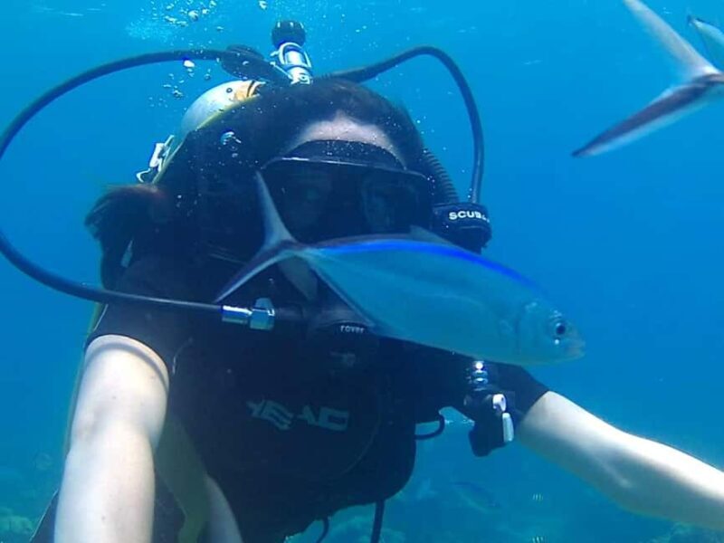 Scuba Diving in Catalina Island - The Sum Up