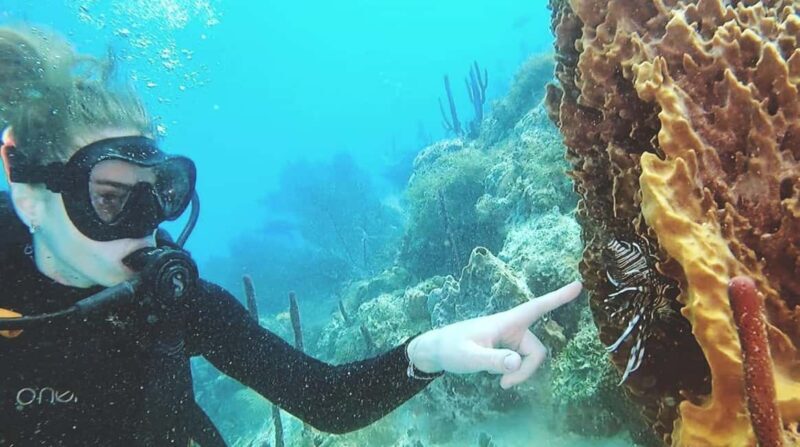 Scuba Diving in Catalina Island - FAQ