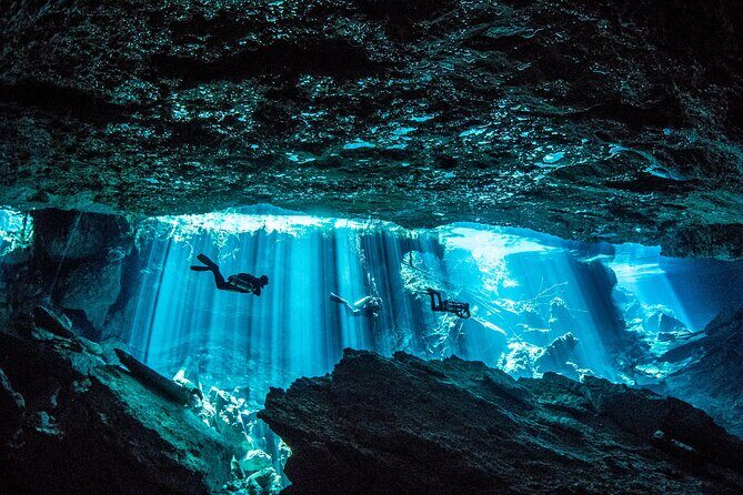 Scuba Diving in Cenote Kukulkan from Playa del Carmen - The Highlights: What Makes This Tour Stand Out