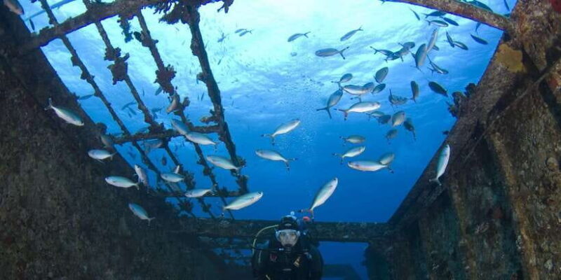 Scuba Diving in Colombo - Key Points