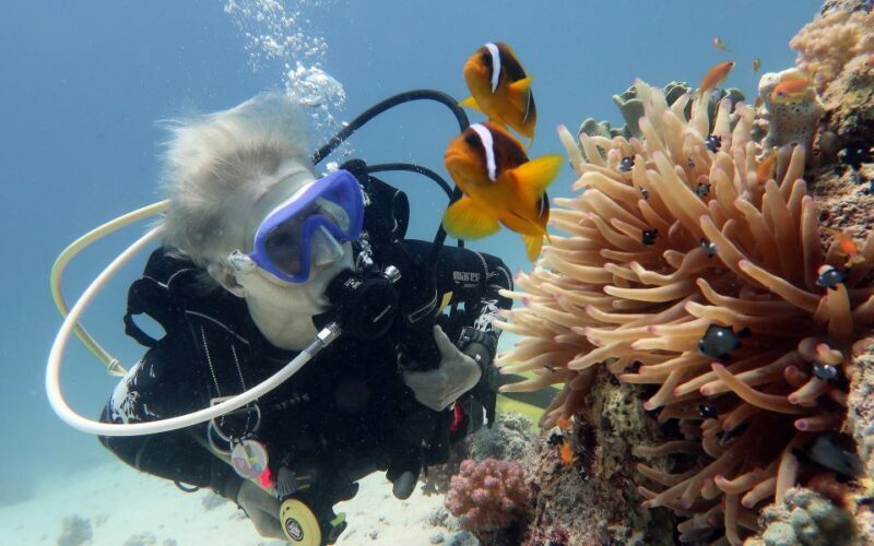 Scuba Diving in Hikkaduwa - In-Depth Look at the Experience