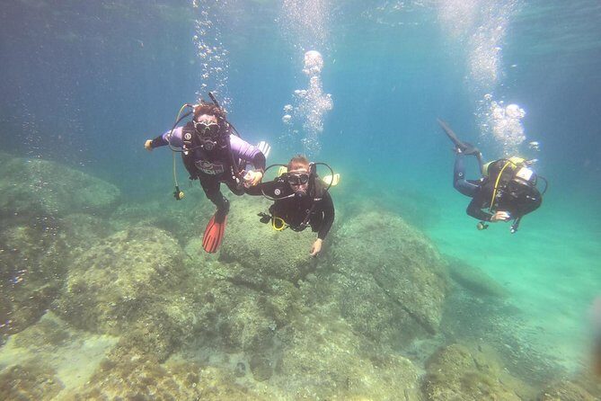 Scuba Diving in La Maddalena & Lavezzi Park for certified divers. - Scuba Diving in La Maddalena & Lavezzi Park for Certified Divers