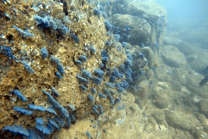 Scuba Diving in Mirissa - Key Points