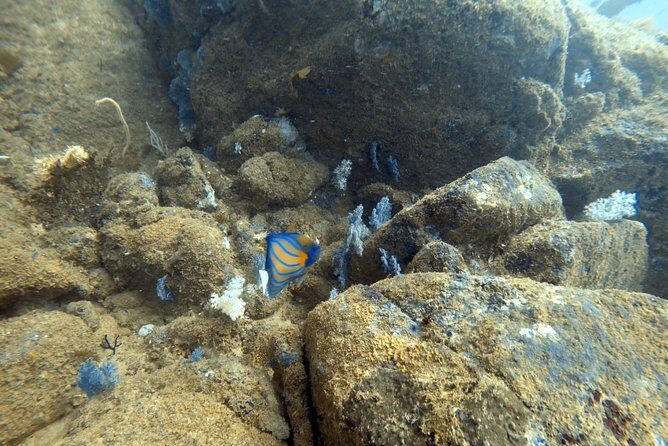 Scuba Diving in Mirissa - Final Thoughts