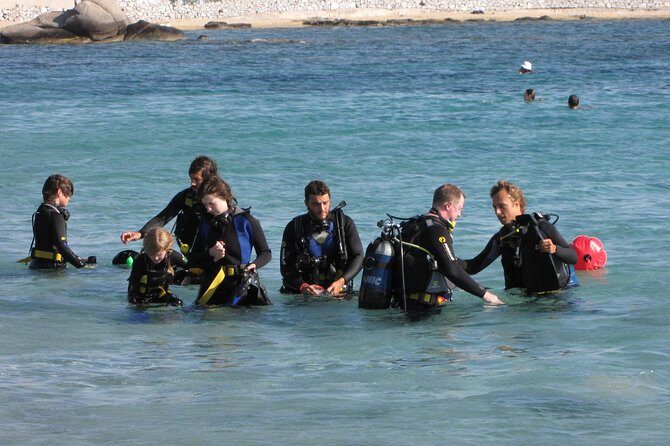 Scuba Diving in Naxos by Bluefindivers - Dive in Greece - Amazing Diving Spots - Key Points
