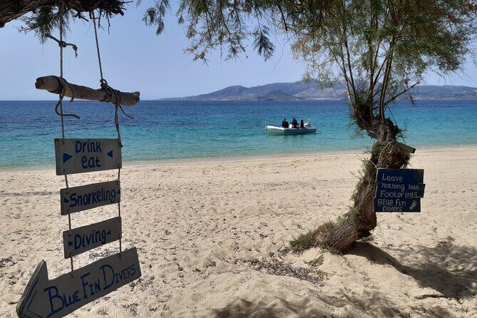 Scuba Diving in Naxos by Bluefindivers - Dive in Greece - Amazing Diving Spots - Final Thoughts