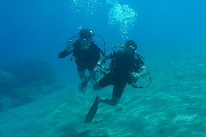 Scuba diving in Rosario Islands - Frequently Asked Questions