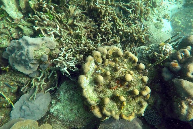 Scuba diving in Rosario Islands - Final Verdict