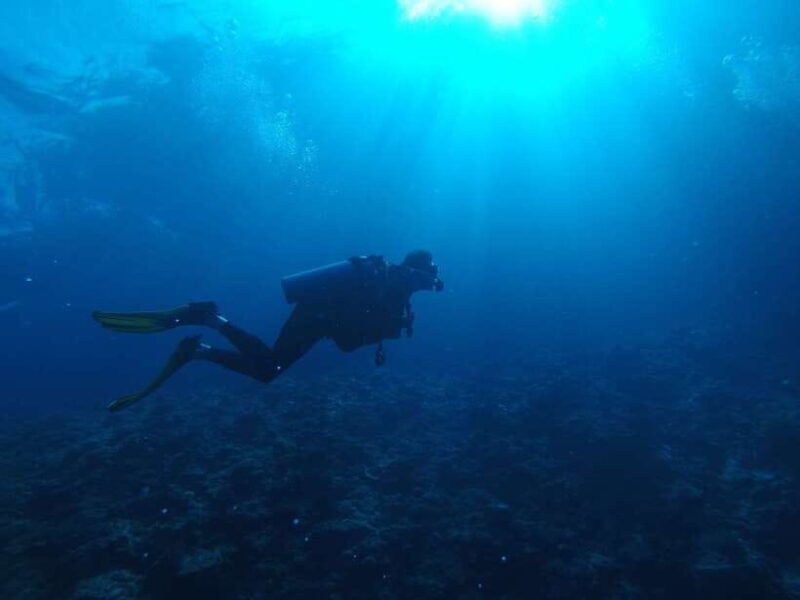 Scuba Diving in Unawatuna - Who Should Consider This Experience?