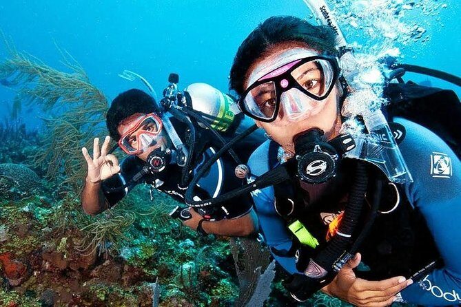 Scuba Diving on Catalina Island | 2 tanks, 2 spots - A Closer Look at the Catalina Island Scuba Experience