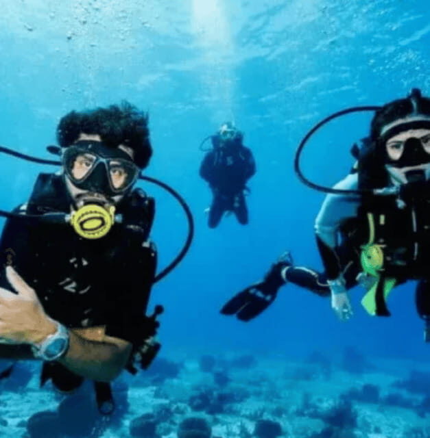 Scuba Diving Playa del Carmen: PADI Open Water Certification - The Real Value of the Course