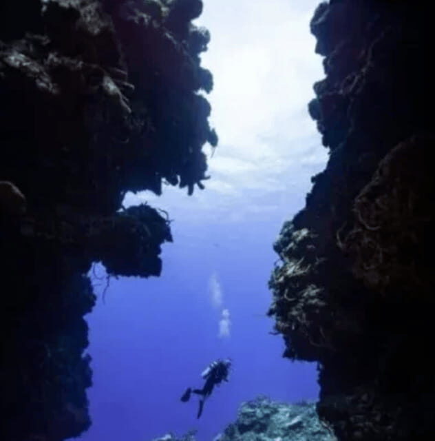 Scuba Diving Playa del Carmen: PADI Open Water Certification - Final Thoughts