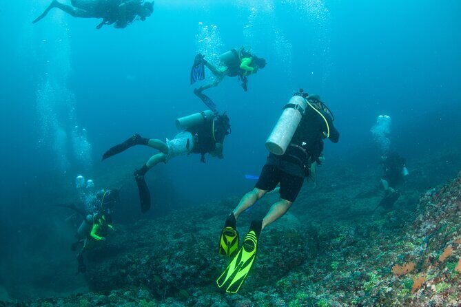 Scuba Diving Puerto Vallarta Undersea Arcos or Marietas - FAQ: Your Practical Questions Answered