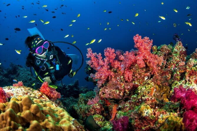 Scuba Diving Refresher(3 dives) - Who Should Consider This Tour?