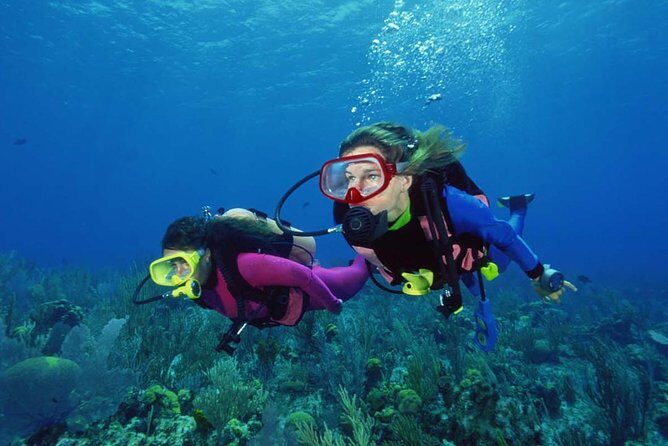 Scuba Diving Tour From Alanya - Side - Antalya - An In-Depth Look at the Tour Experience