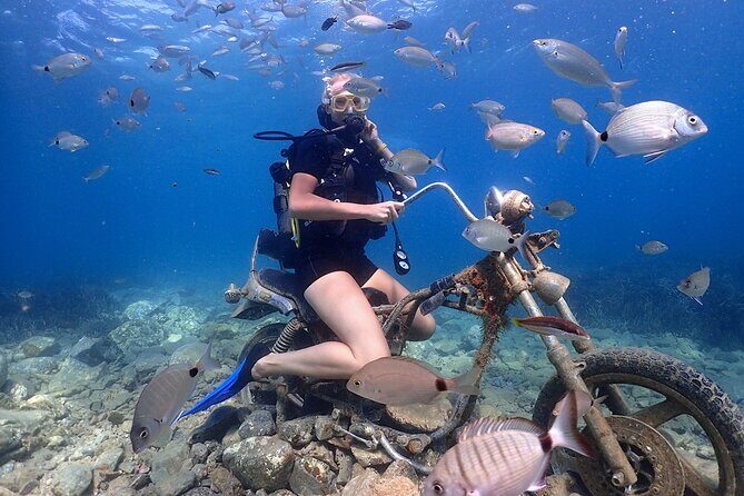 Scuba Diving Tour From Kusadasi / Selcuk - Key Points