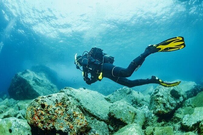 Scuba Diving Tour From Kusadasi / Selcuk - Detailed Review of the Kusadasi / Selcuk Scuba Tour