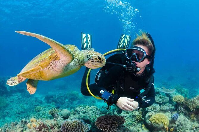 Scuba Diving Tour in Kemer with Lunch and Transfer - Discover the Magic of Scuba Diving in Kemer with Transfers and Lunch