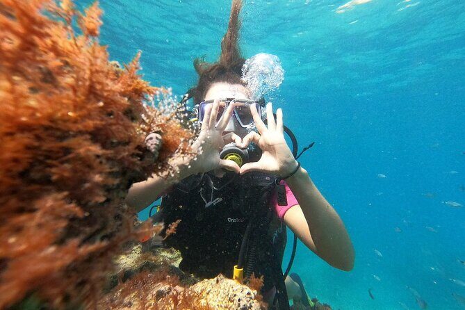 Scuba Diving Tour With Lunch in Alanya - FAQs