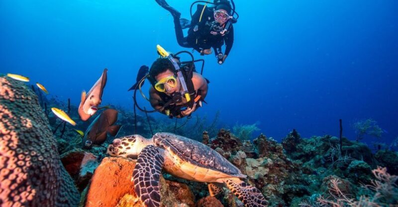 Scuba Diving Tour with Transfer From Alanya and city of Side - Exciting Underwater Adventure with Transfer from Alanya and Side