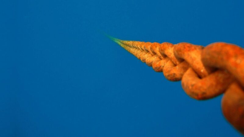 Scuba Diving Tour with Transfer From Alanya and city of Side - A Deep Dive into the Experience