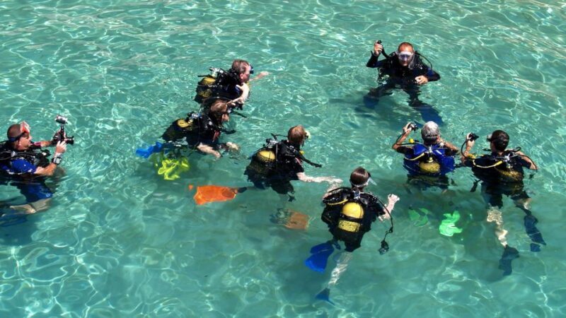 Scuba Diving Tour with Transfer From Alanya and city of Side - Final Thoughts