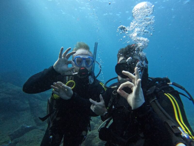 Scuba Diving trips for Certified Divers in Tenerife - The Logistics and Experience