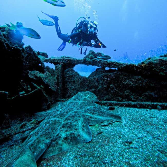Scuba Diving trips for Certified Divers in Tenerife - Final Thoughts