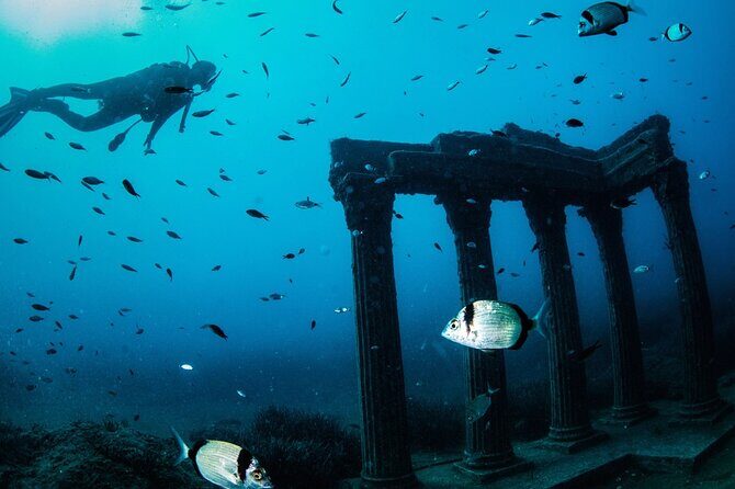 Scuba Diving Under Water Museum - Key Points