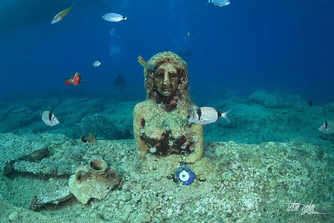 Scuba Diving Under Water Museum - Final Thoughts