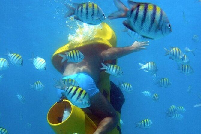 Scuba Doo Diving Scooters in Punta Cana - Scuba Doo Diving Scooters in Punta Cana: An Honest Look at a Unique Underwater Experience