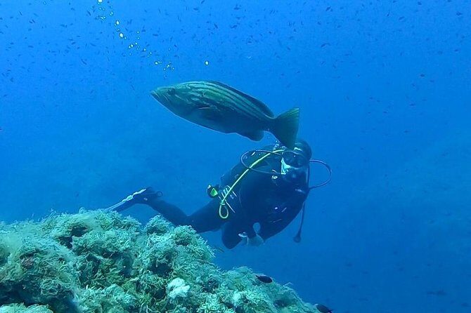 Scuba Experience - Discovering Sicily’s Underwater Secrets: The Scuba Experience