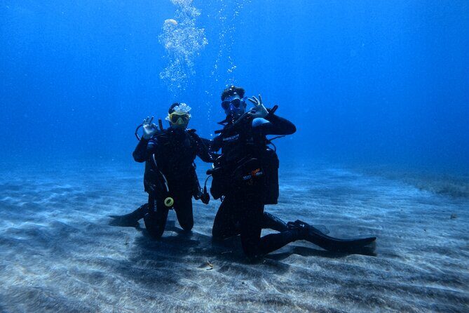 Scuba Experience in Tenerife with Guide - Exploring the Scuba Experience in Tenerife with a Guide