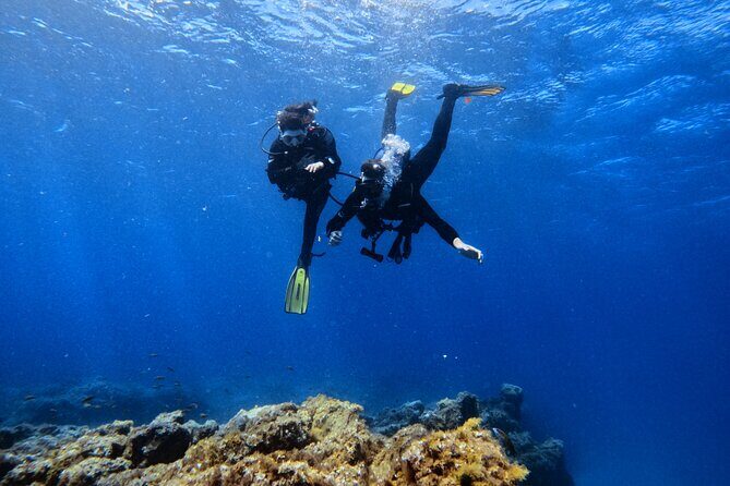 Scuba Experience in Tenerife with Guide - Who Will Love This Experience?