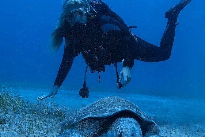 Scuba Experience in Tenerife with Guide - The Complete Dive into the Tenerife Scuba Experience