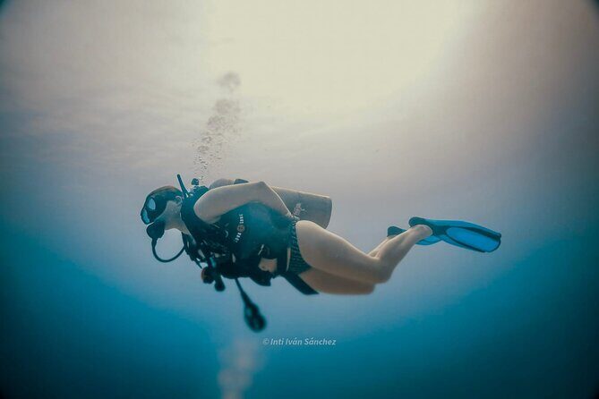 Scuba Referral Dives & Beach Club with Transportation In Riviera Maya - Final Thoughts