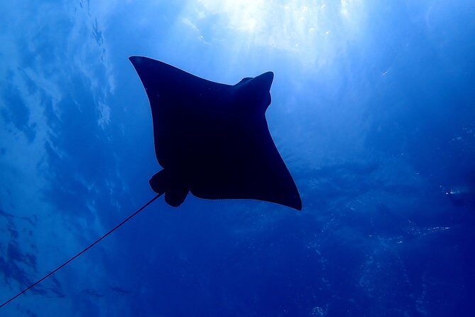 Scuba Refresher Course (half day) - Key Points