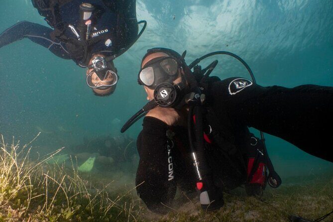 Scuba Tour for Certified Divers in San Juan - What’s Included and Why It Matters