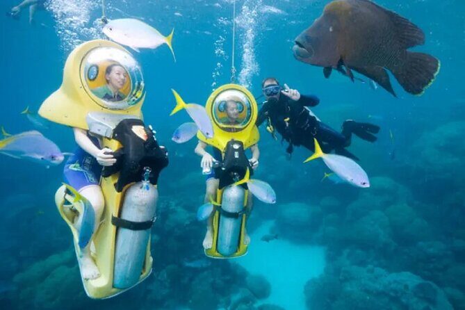 ScubaDoo From Punta Cana - FAQ – Your Practical Questions Answered