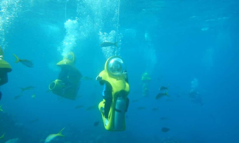 Scubadoo Punta Cana Diving Adventure - Key Points