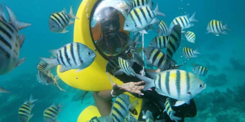 Scubadoo Punta Cana Diving Adventure - A Closer Look at the Scubadoo Punta Cana Diving Adventure