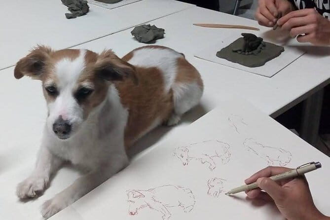 Sculpt to Florentine Pet - In-Depth Look at the Itinerary and Experience