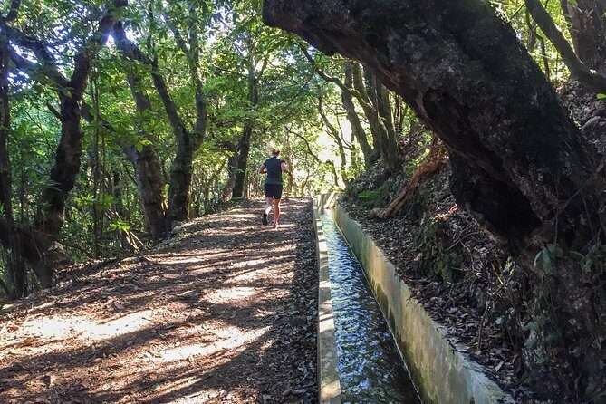 Sea 2 Mountain Running Tour (Moderate-Hard) - Final Thoughts