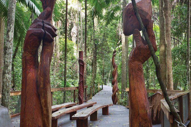 Sea Acres National Park: Sea Acres Aboriginal Coastal Tour - Exploring Sea Acres National Park: An Aboriginal Coastal Tour That Connects You to Nature and Culture