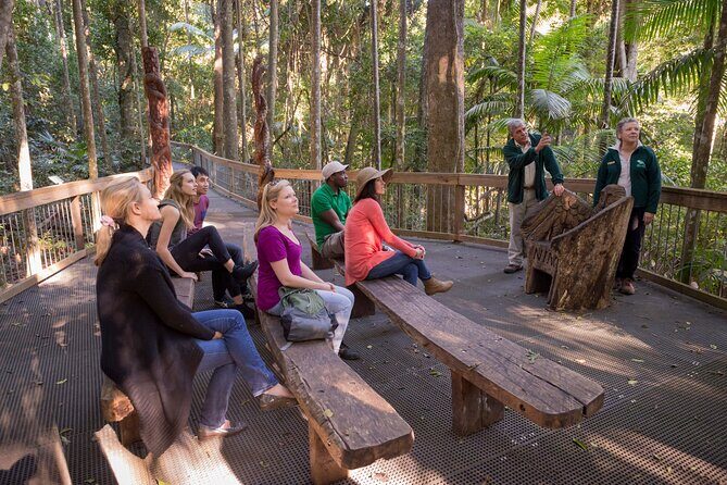 Sea Acres Rainforest Boardwalk Tour - An In-Depth Look at the Sea Acres Rainforest Boardwalk Tour