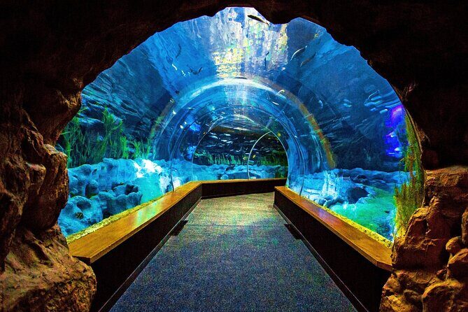 Sea and Mountain Full Day Tour with Lunch - An In-Depth Look at the Sea and Mountain Full Day Tour