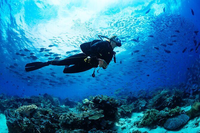 Sea Baptism Scuba Experience in Polignano a Mare - Experience the Sea Baptism Scuba Adventure in Polignano a Mare