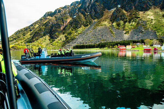 Sea Eagle Safari from Svolvær to Trollfjorden - Authentic Experiences and Reviews from Travelers