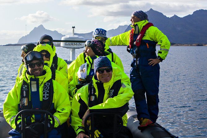 Sea Eagle Safari from Svolvær to Trollfjorden - The Value of the Experience