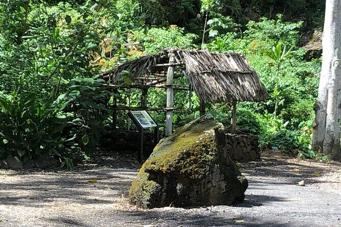 Sea / Eat & See The North Shore - A Closer Look at the North Shore Tour